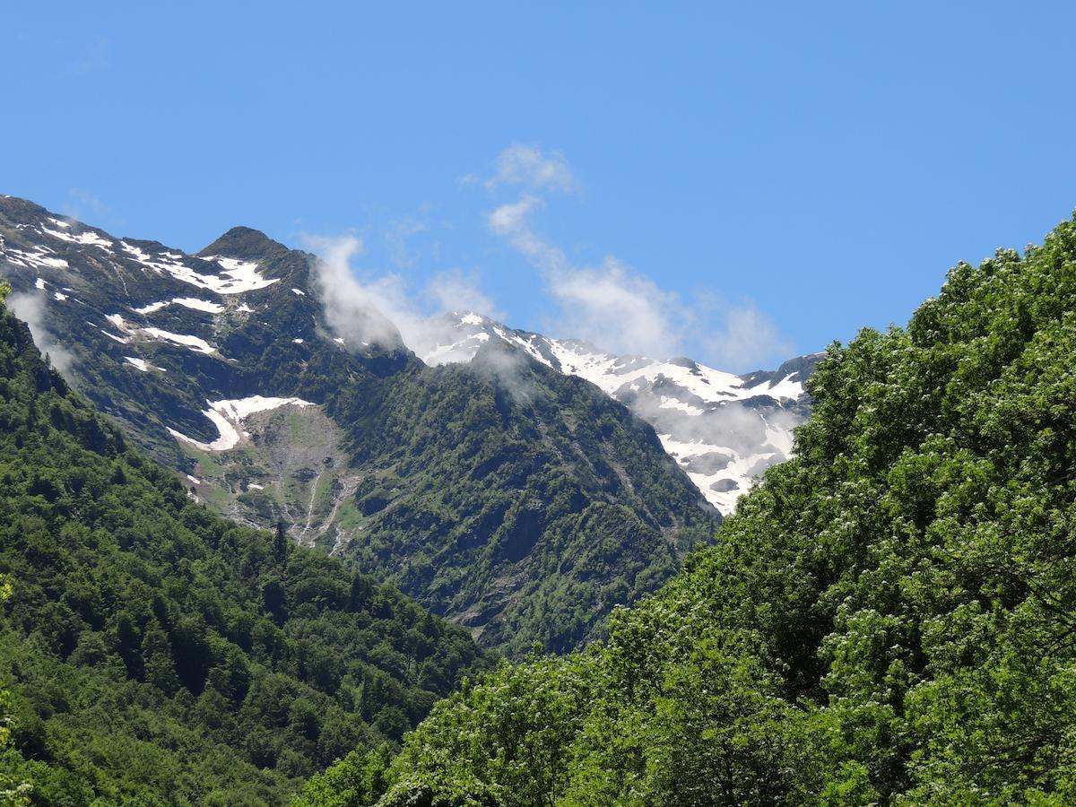 Auberge Les Myrtilles Couflens Экстерьер фото